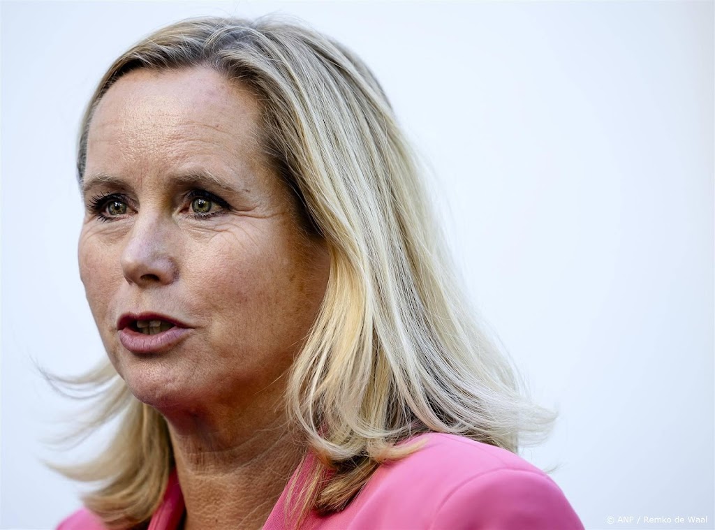Klever: een miljard euro minder subsidie naar ngo's