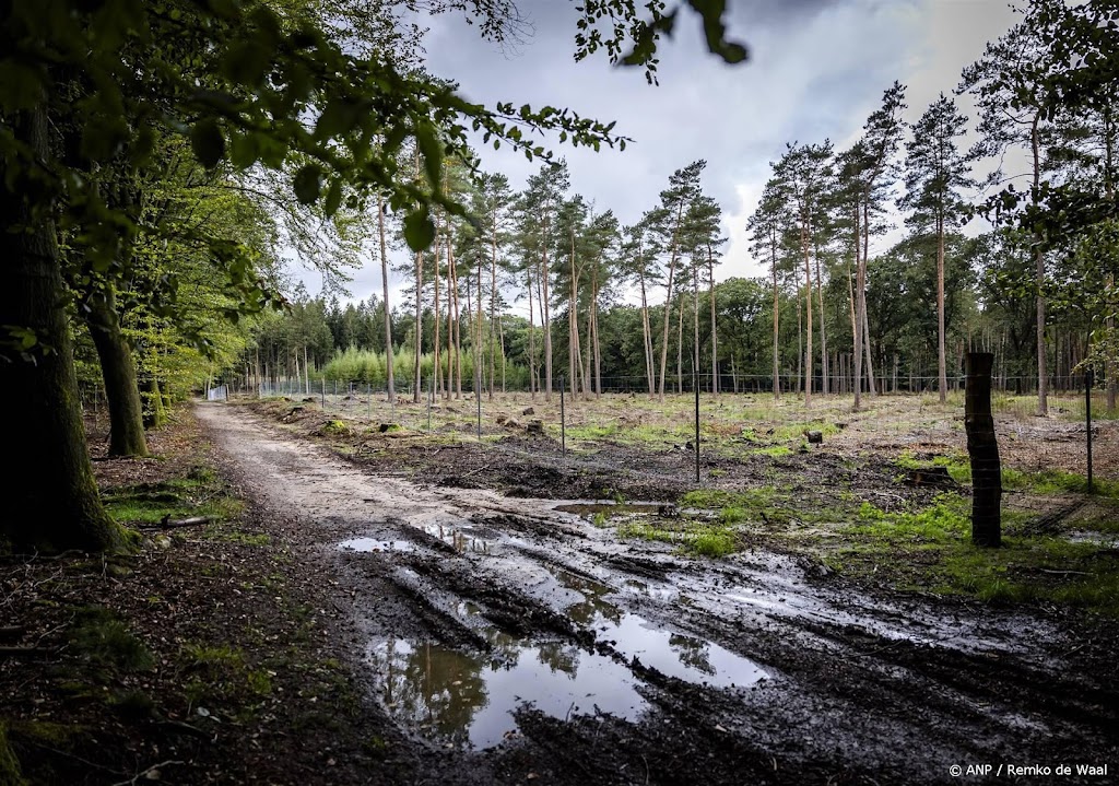 Provincies krijgen 1,3 miljard euro om natuur te herstellen
