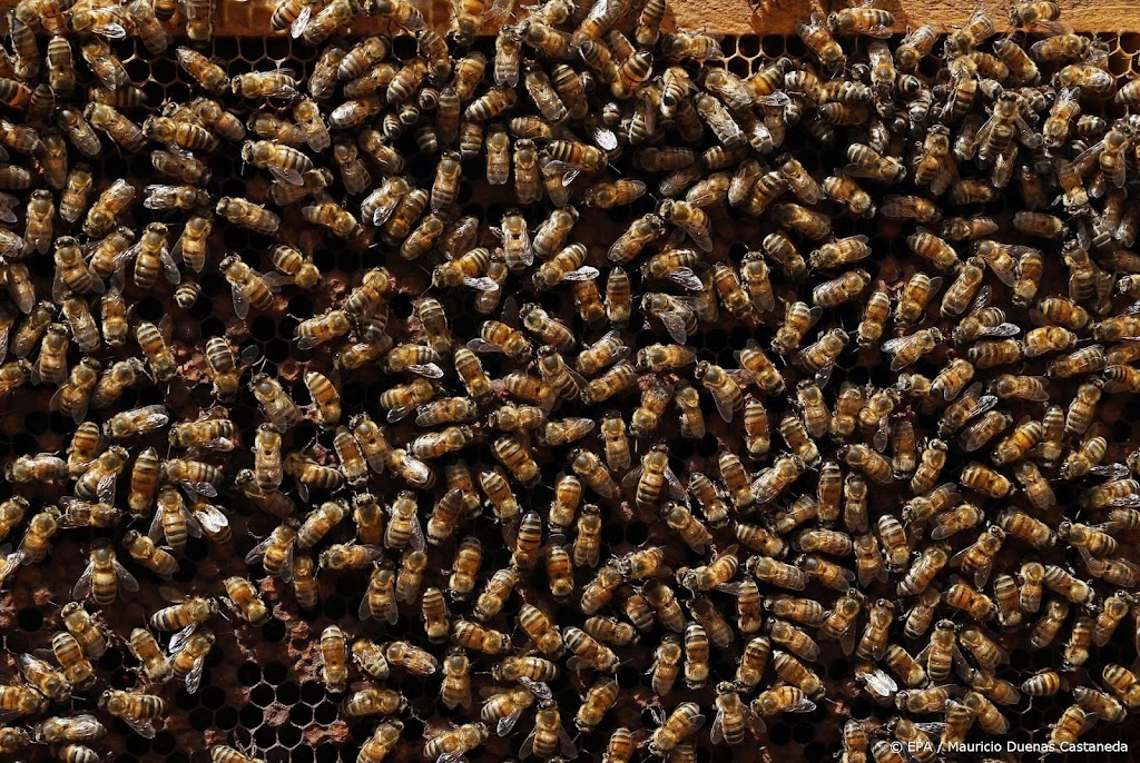 Verboden pesticiden volgens rapport nog volop gebruikt in EU
