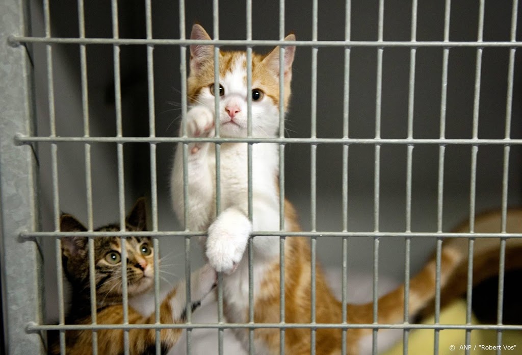 EU-parlement eist actie tegen illegale handel huisdieren