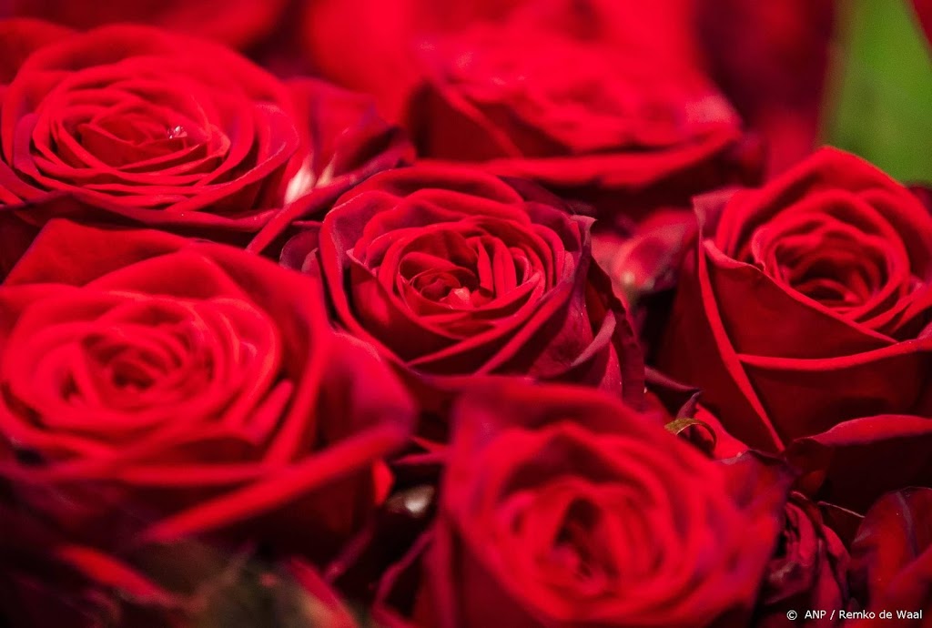 'Bloemen gewild voor Valentijnsdag ondanks corona en winterweer'