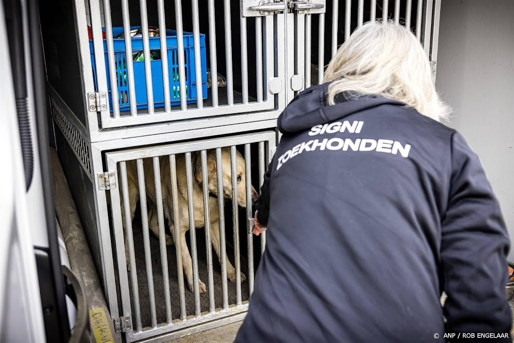 Nieuwe teams met honden onderweg naar aardbevingsgebied