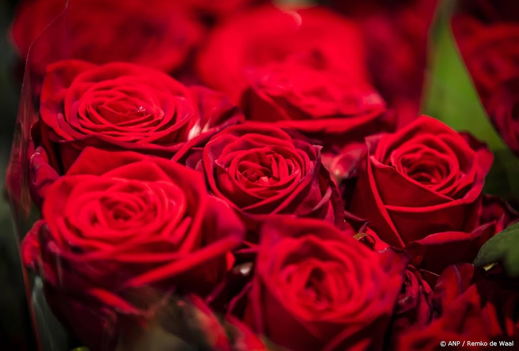 Consument weet bloemen zonder bestrijdingsmiddelen niet te vinden