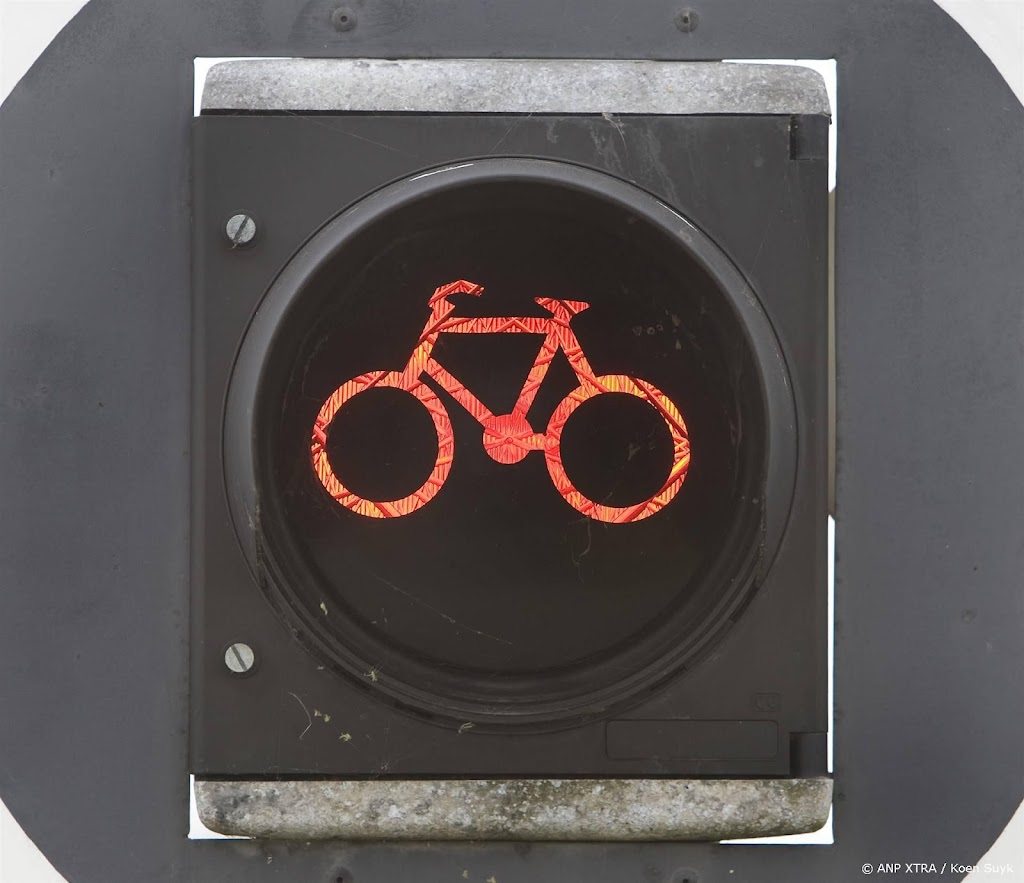 Fietsmerk Cangoo roept bakfietsen terug om kans op framebreuk