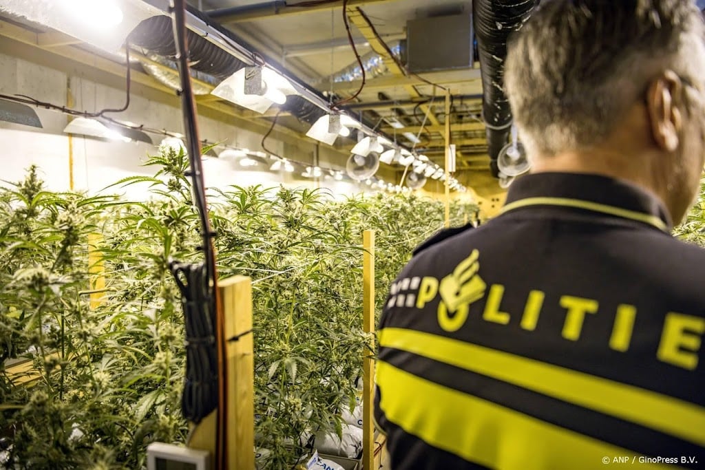 Een derde meer anonieme tips over misdaad in 2025 