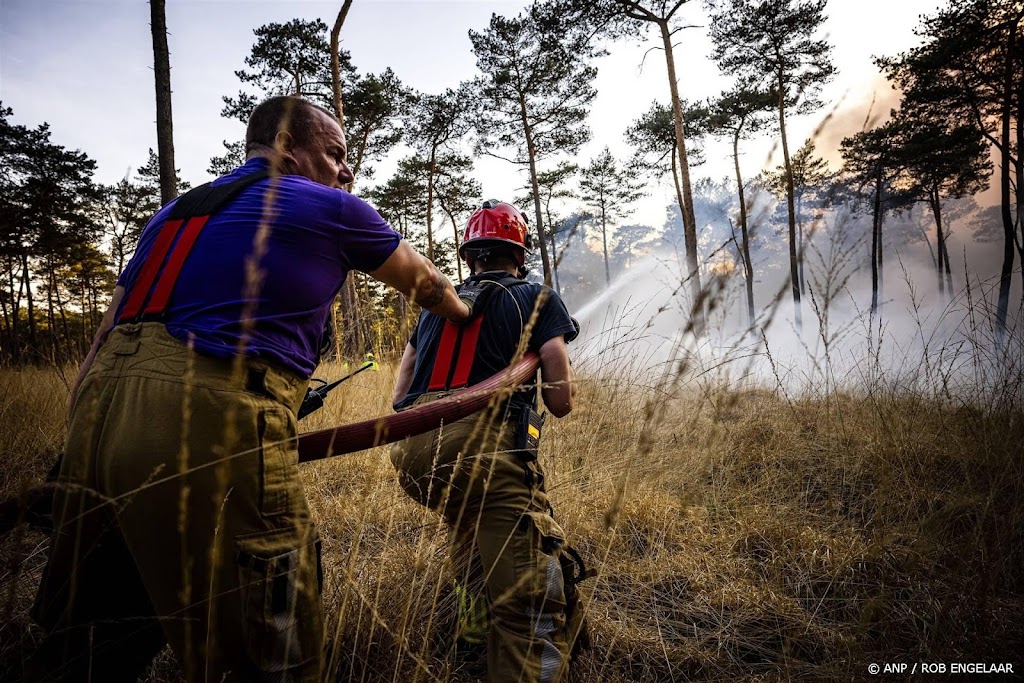 Bijna honderd brandweerlieden ingezet bij bosbrand Drunen