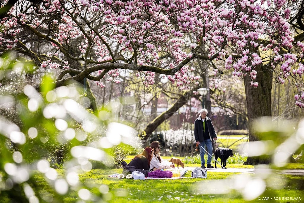 Lente nooit vroeger begonnen dan dit jaar