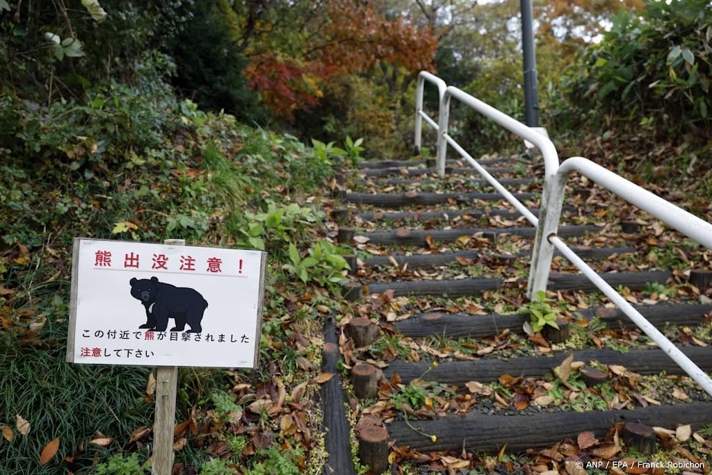 Recordaantal beren gezien en gedood in Japan