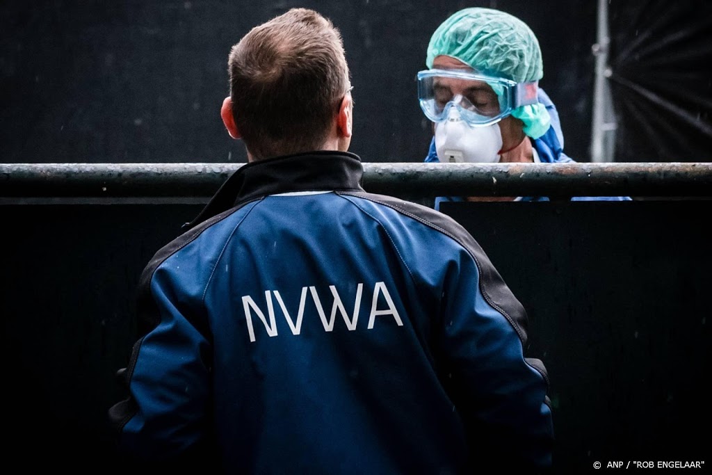 NVWA ruimt ruim 570.000 nertsen wegens coronavirus 
