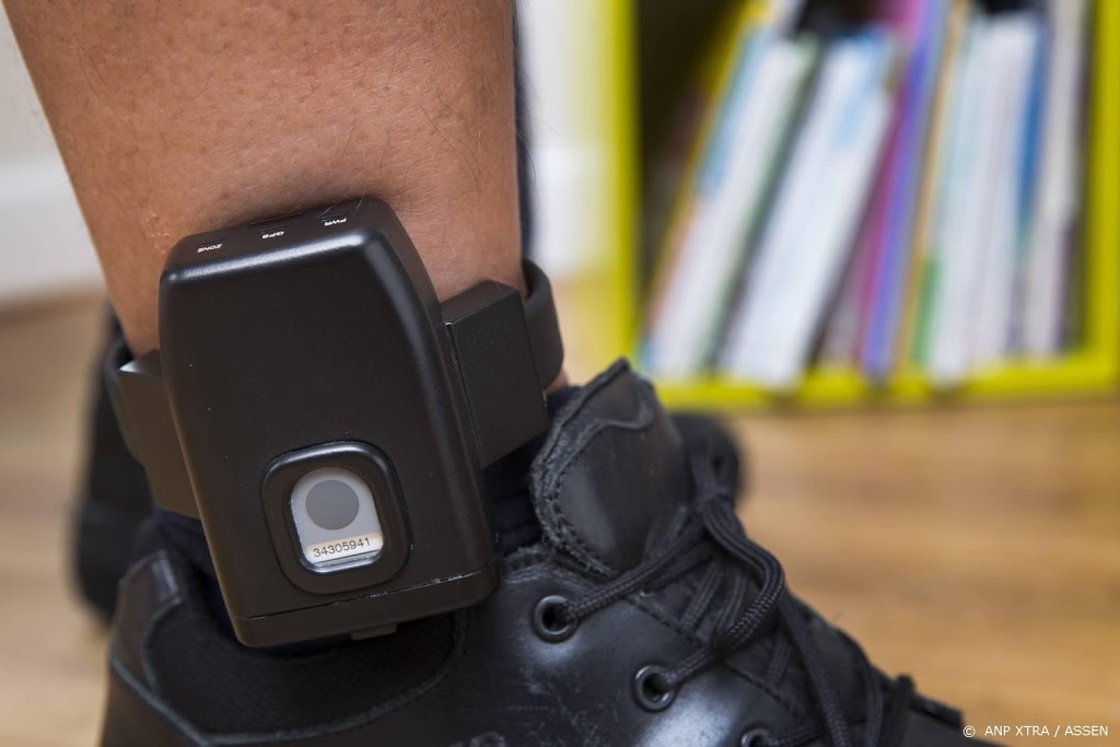 'Verkrachting door zedendelinquent die onder toezicht stond'