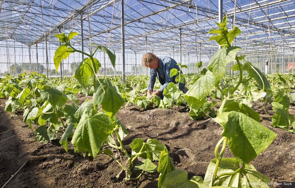 Rechter: ACM heeft geen regels overtreden bij bedrijfsbezoeken