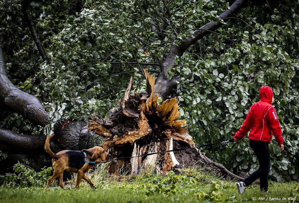 Staatsbosbeheer start nu ook inzameling wegens stormschade