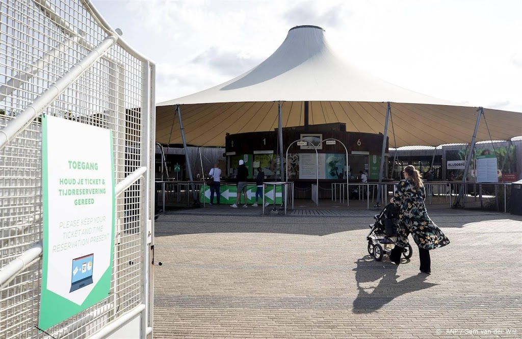 Blijdorp laat leeuw met neurologische klachten inslapen