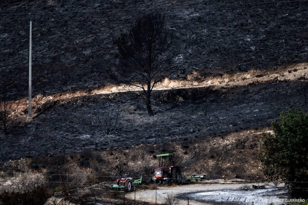Brandweer heeft dodelijke bosbrand in Spanje onder controle