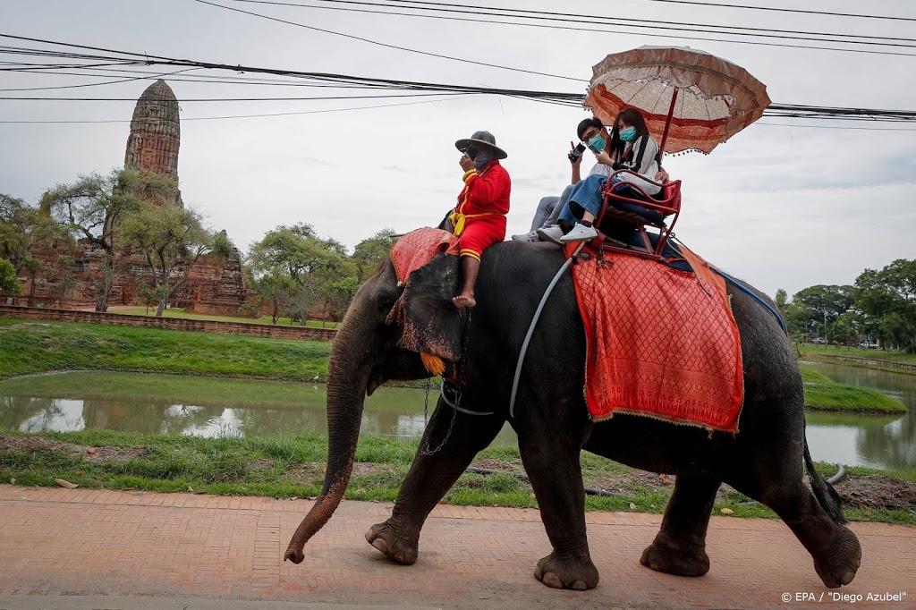 Dierenbeschermers: Olifantenleed in Thailand fors gestegen