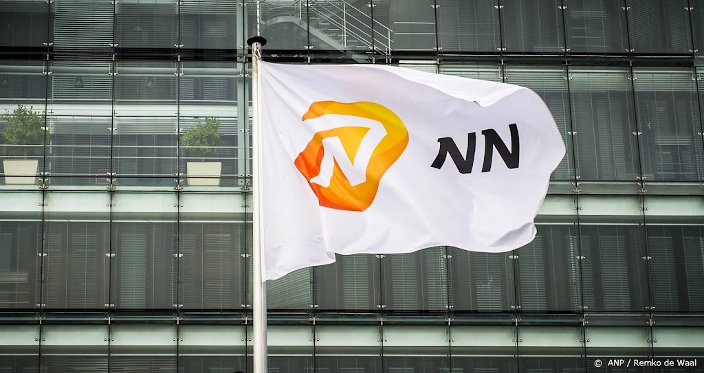 NN merkt dat crisis huishoudens bewuster maakt van risico's