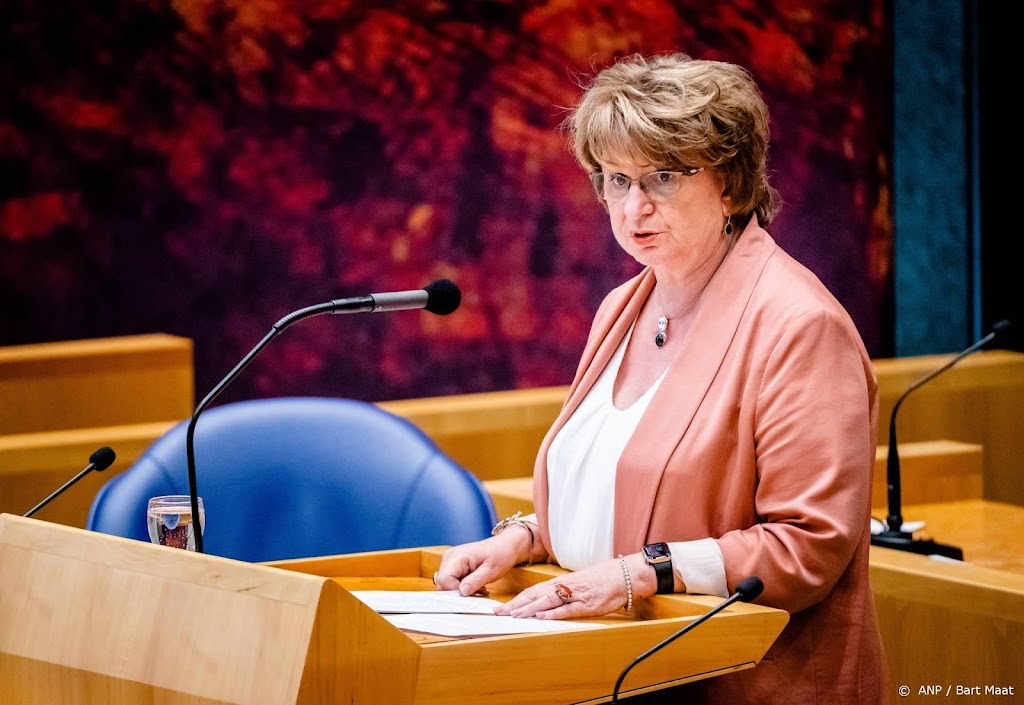 Hamer: onderhandelingen over regering begin volgende week hervat