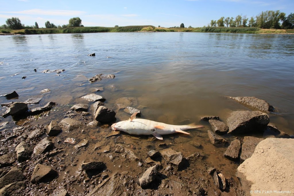 Duitsland vindt kwik in rivier Oder na vondst vele dode vissen