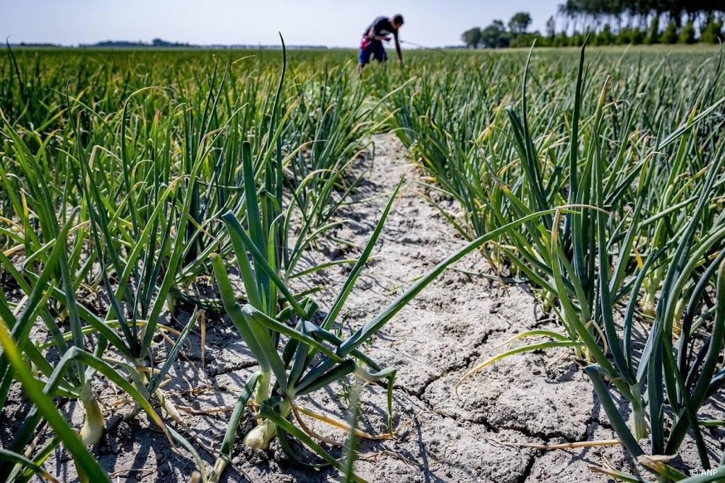 Gezondheidsraad wil meer natuurlijke bescherming van gewassen