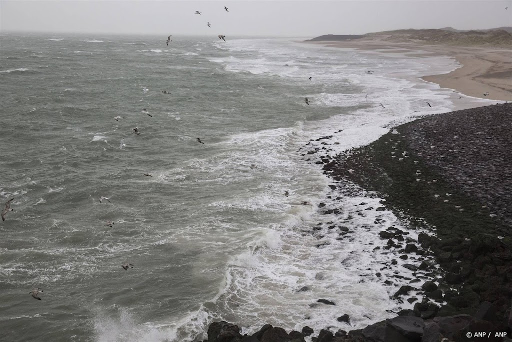 PFAS aangetroffen in zeeschuim langs Nederlandse kust 
