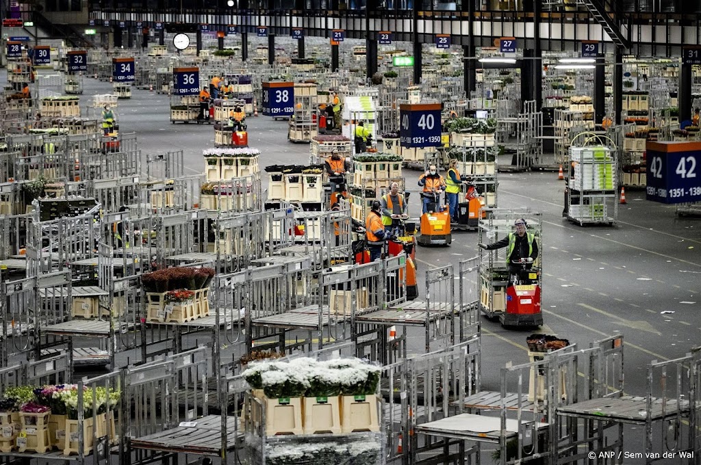 Nederlandse export zet groei voort