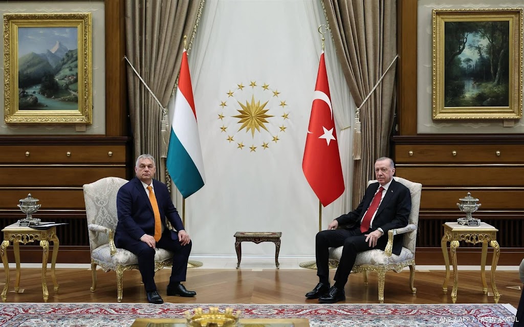 Hongaarse premier overlegt met president Turkije over Oekraïne