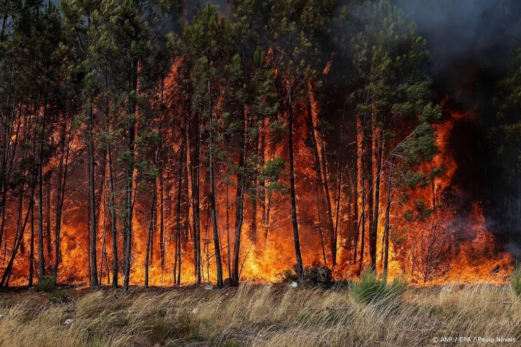 KNMI wil Nederland weerbaarder maken door extreme scenario's