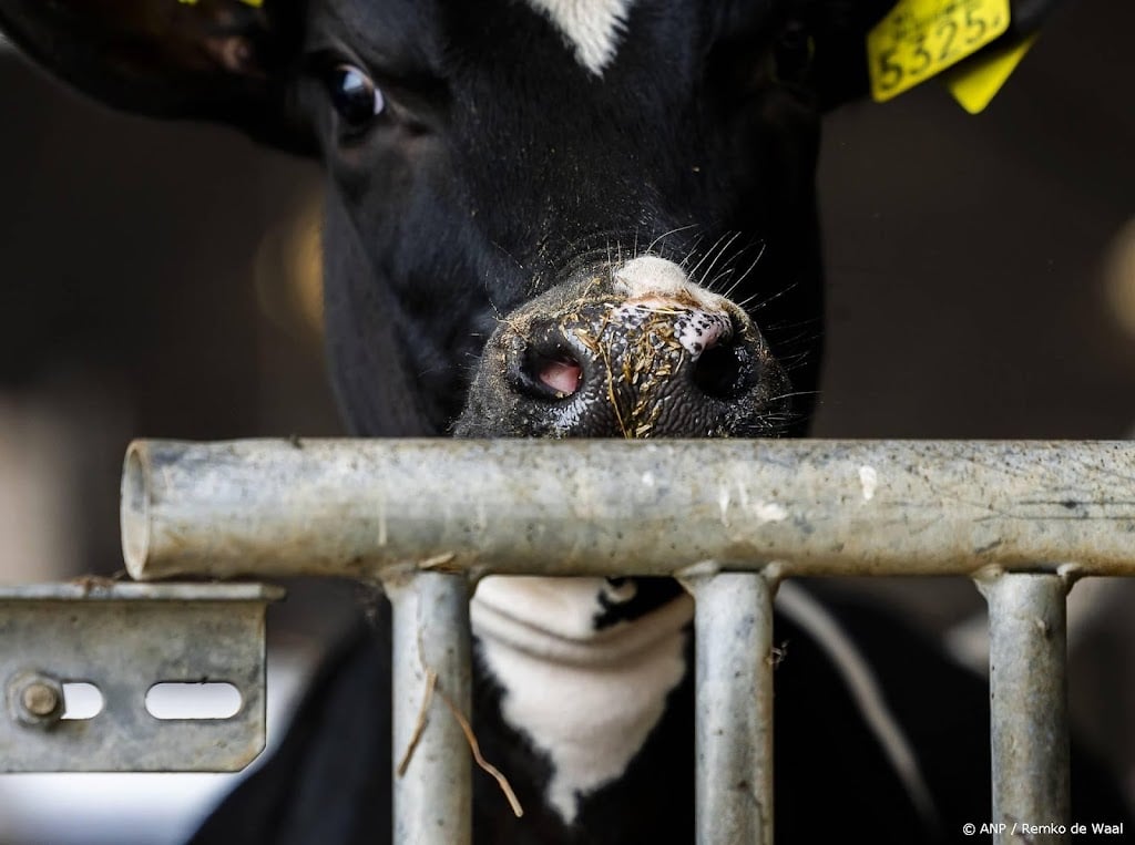 Aanhoudingen om bedreigen boer die in nieuws kwam door misstanden