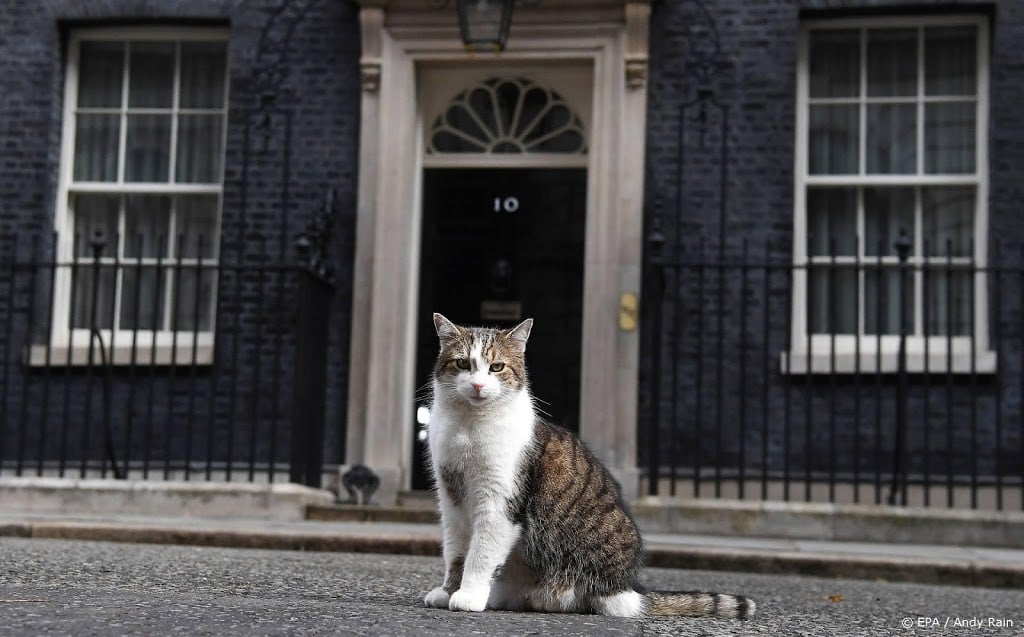 Kat Larry viert jubileum als muizenjager in Downing Street 10
