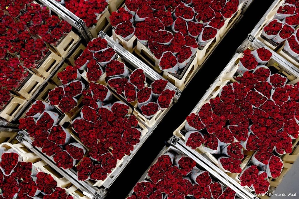Nederlanders kopen minder rozen voor Valentijnsdag door carnaval