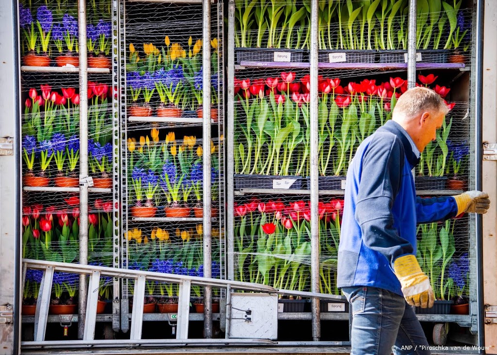 Export in januari gegroeid