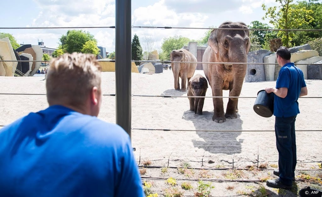 Dierentuinen open, diverse binnenlocaties wel dicht