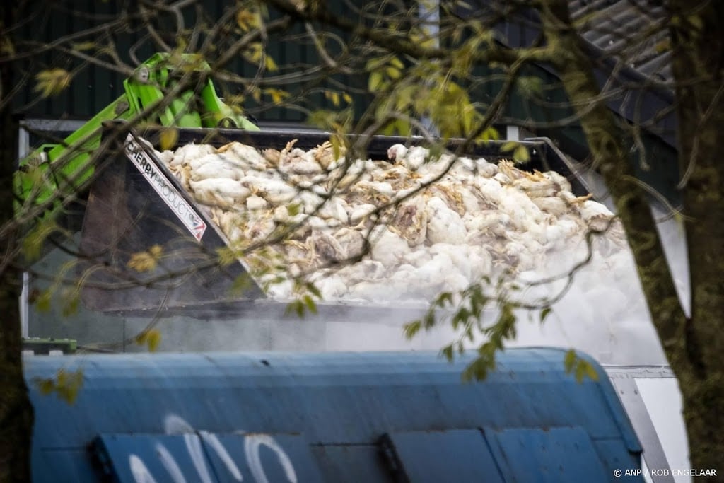 Onderzoekers vinden oorzaak gevaarlijke vogelgriepvarianten