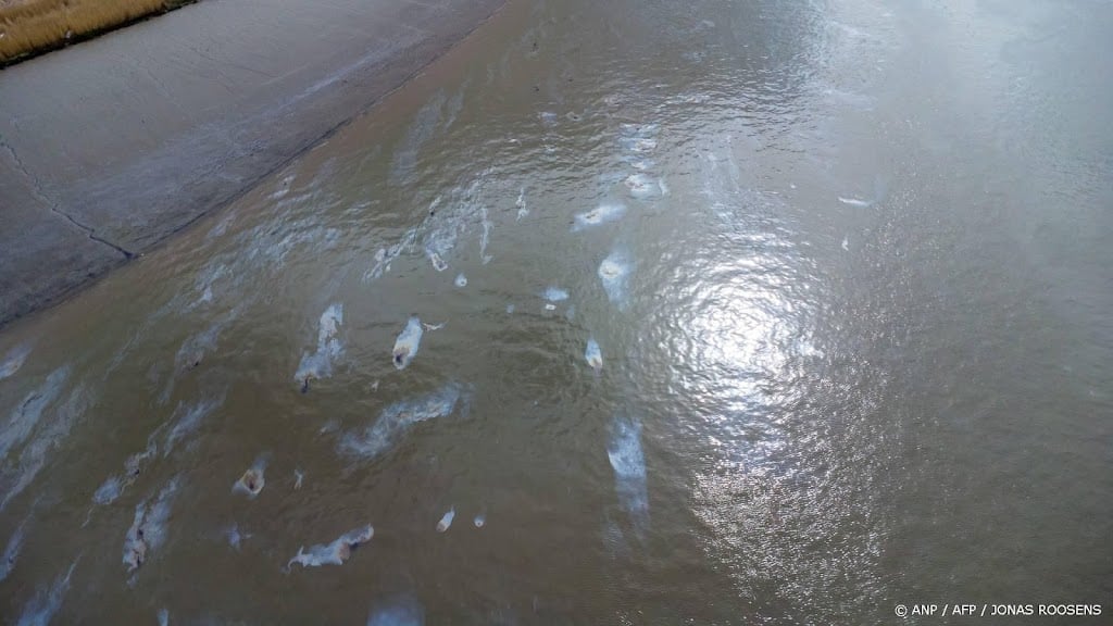 Gelekte olie uit Antwerpse haven dringt Zeeuwse natuur binnen
