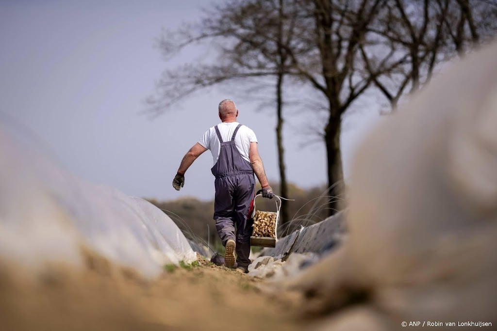 IMF kritisch op Nederlandse plannen voor hogere belasting op werk