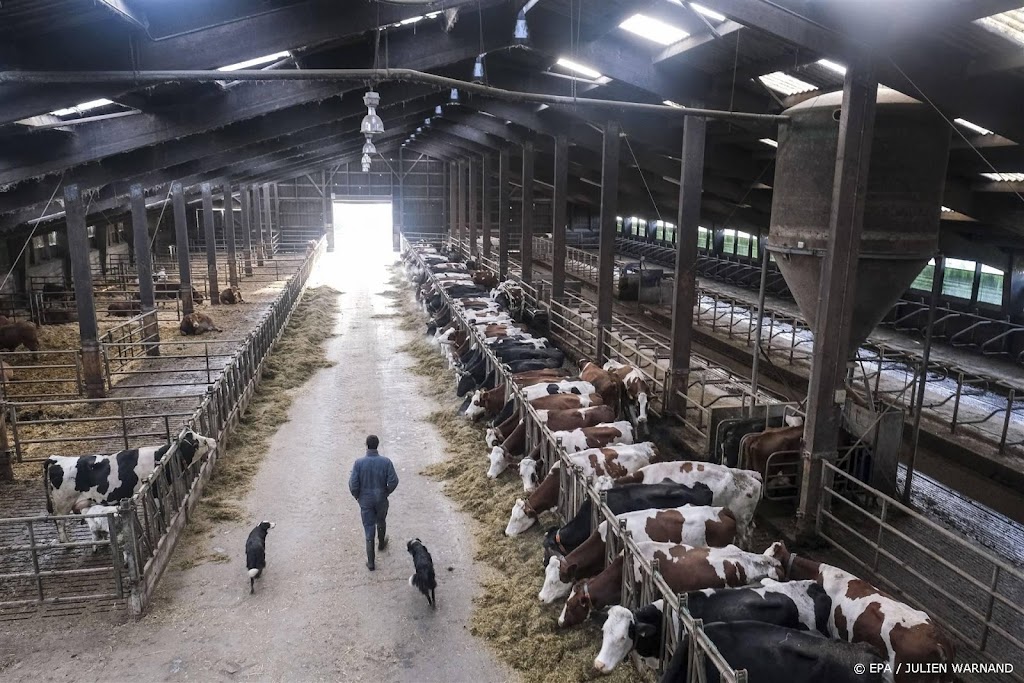 Vlaamse boeren hebben geen trek in uitkoopregeling