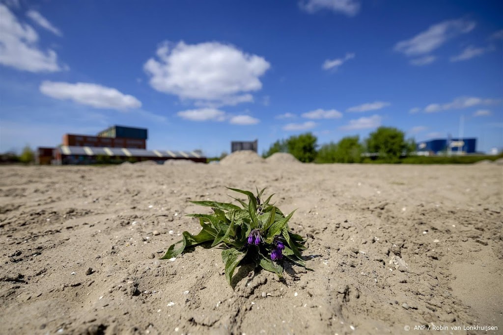 Rotterdam neemt maatregelen om stagnatie huizenbouw te voorkomen