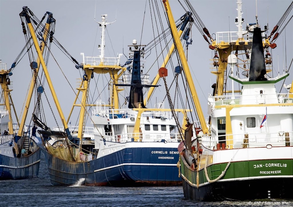 Kabinet trekt miljoenen uit voor visserijsector en vissersdorpen
