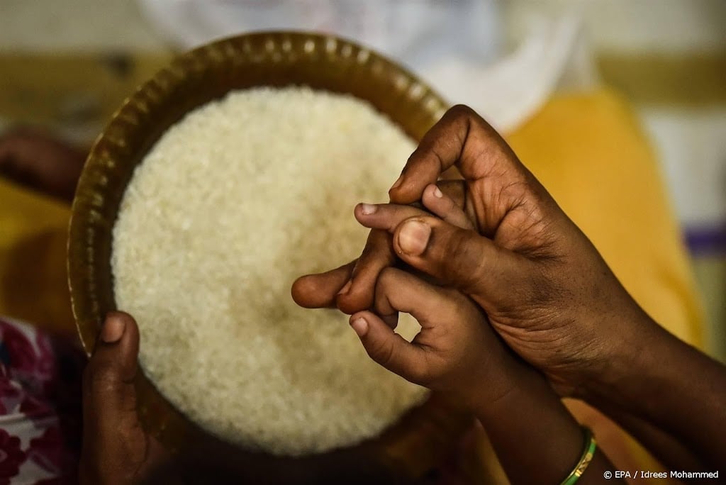Bronnen: India overweegt exportstop op meeste rijstsoorten