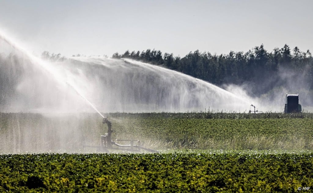 Brabants waterschap verbiedt watergebruik overdag om droogte
