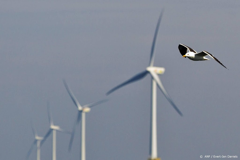 Kunstmatige intelligentie zoekt en telt vogels in windparken