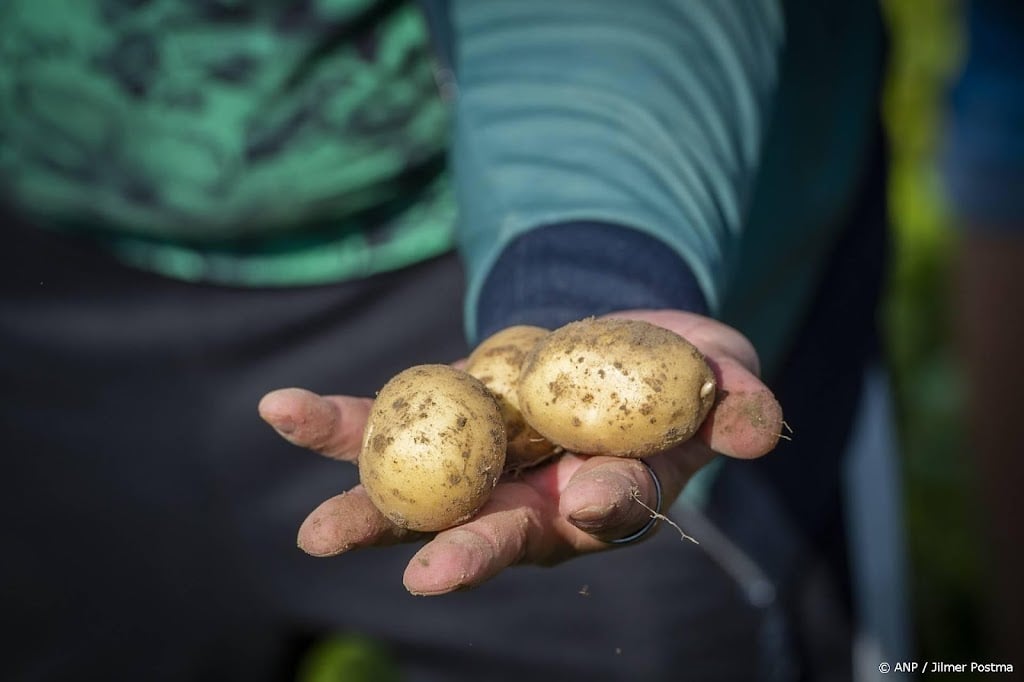 Faillissement CêlaVíta komt hard aan bij honderden medewerkers