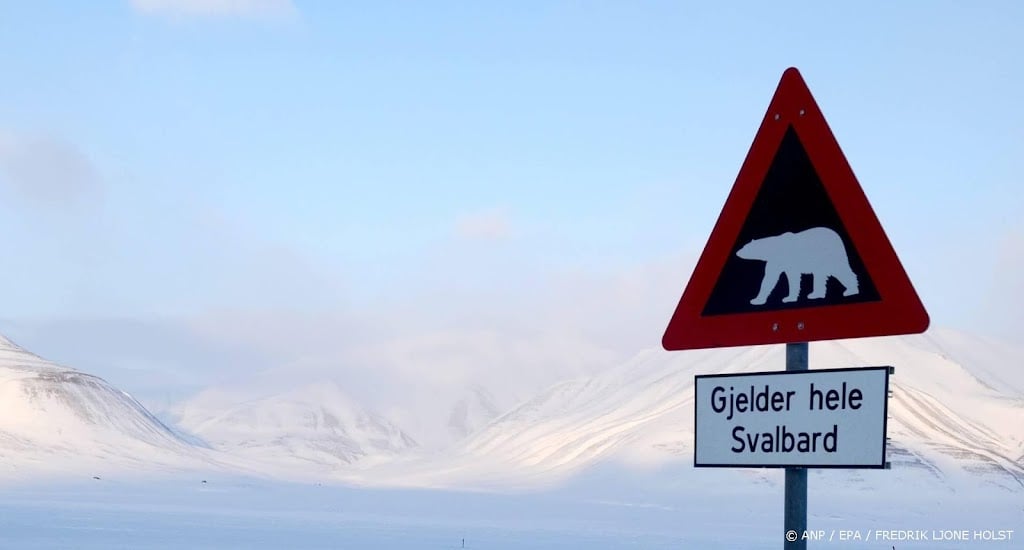 Forse boete voor wakker maken ijsbeer op Spitsbergen