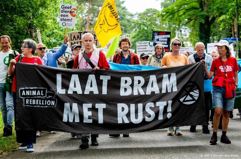 Dierenrechtenorganisaties doen aangifte om doodschieten wolf Bram