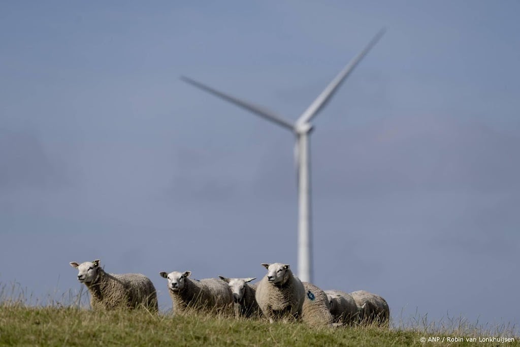 Meer waterschappen weren schapen van droge dijken