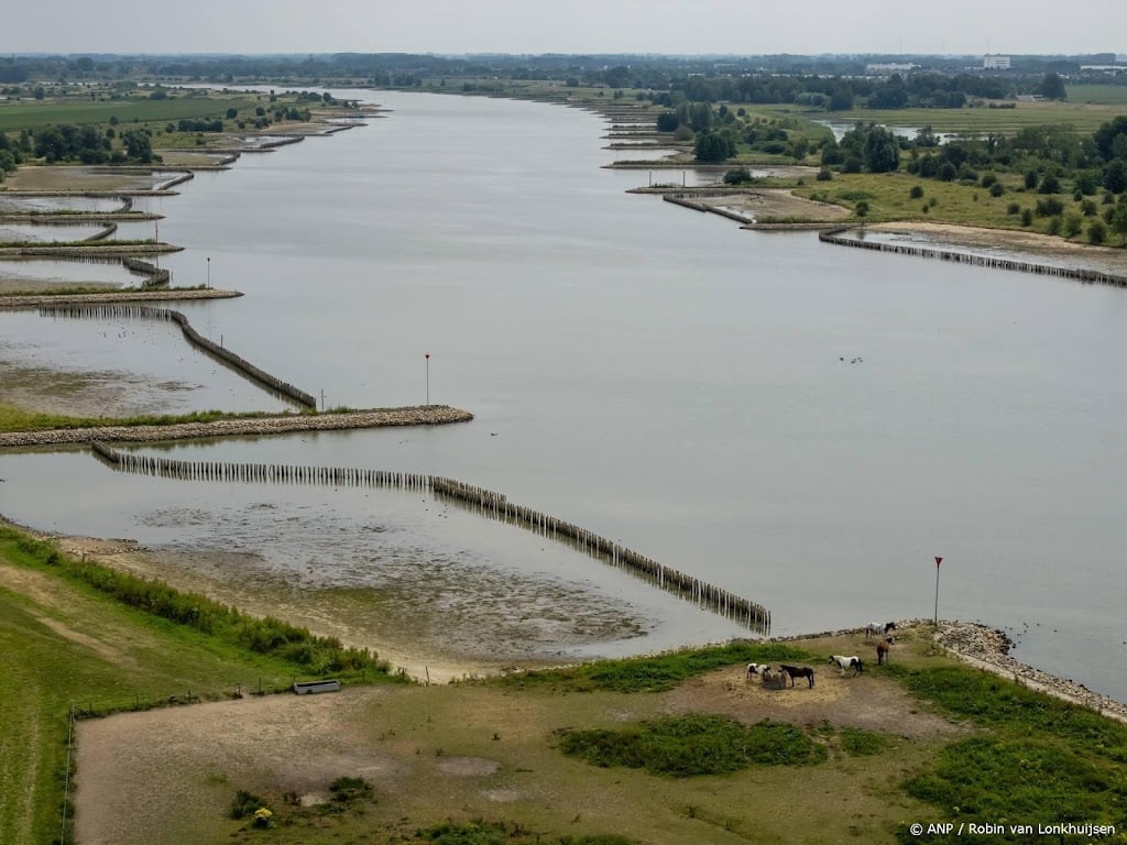 Waterschap haalt beverdammen weg die doorstroming beken blokkeren