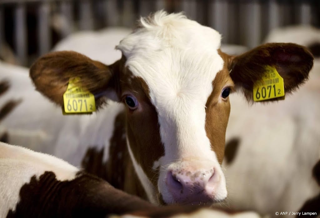 Onderzoek: dierenwelzijn onderbelicht bij pensioenfondsen  