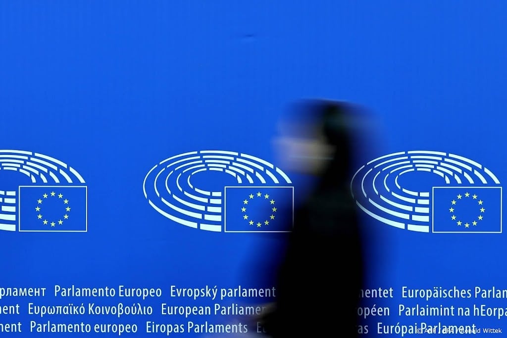 Europarlement wil dat leden tijdens zwangerschapsverlof stemmen