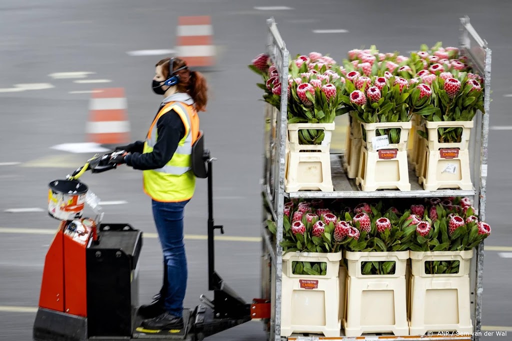Nieuw record voor export bloemen en planten in 2021