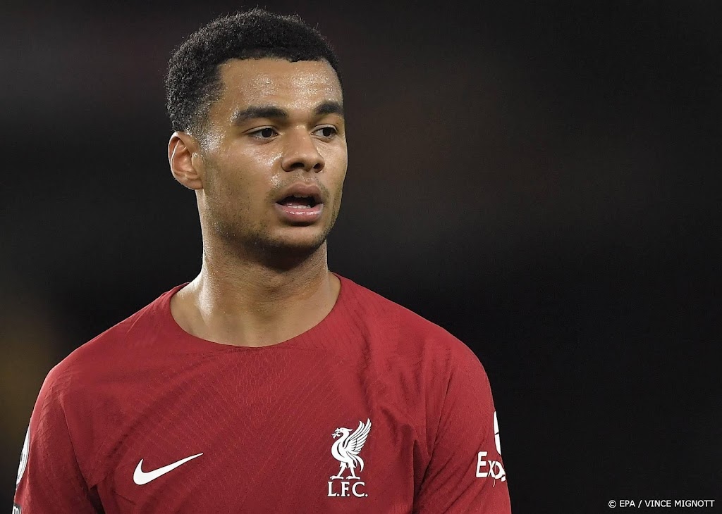 Liverpool verliest met Gakpo kansloos bij Brighton